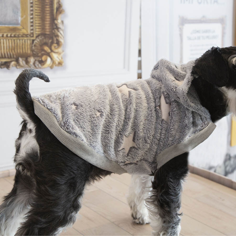 Outech Fleece Camisola Cinza com Estampa de Estrelas para c&atilde;es, , large Imagem n&uacute;mero 4